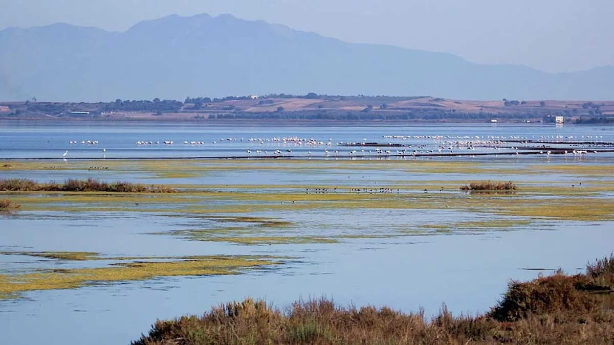Yumurtalık Lagünü Milli Parkı