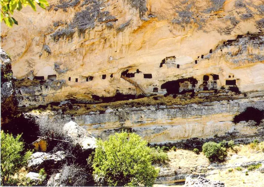 İN DELİKLERİ (Derviş Hücreleri)