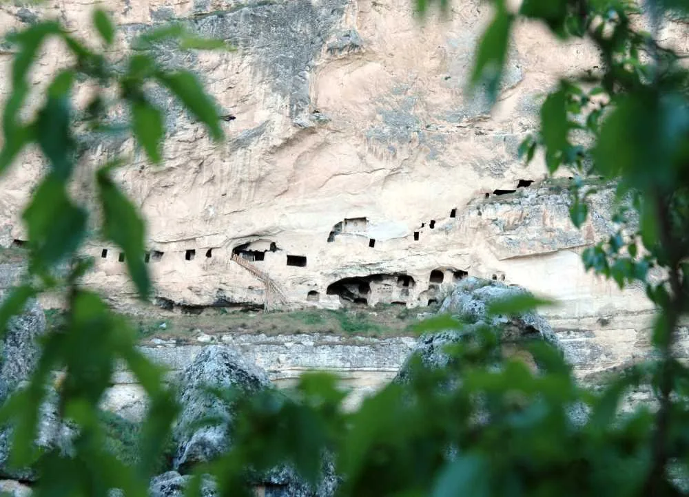 İN DELİKLERİ (Derviş Hücreleri)