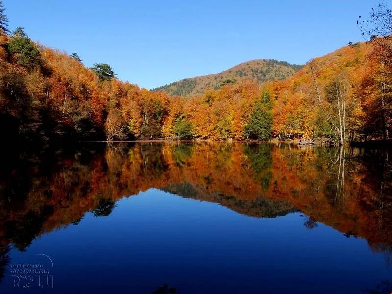 Yedigöller Milli Parkı