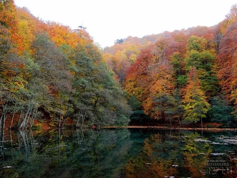 Yedigöller Milli Parkı