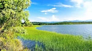 Sarıkum Gölü Tabiat Parkı