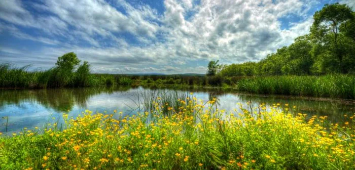 İğneada Longoz Ormanları Milli Parkı