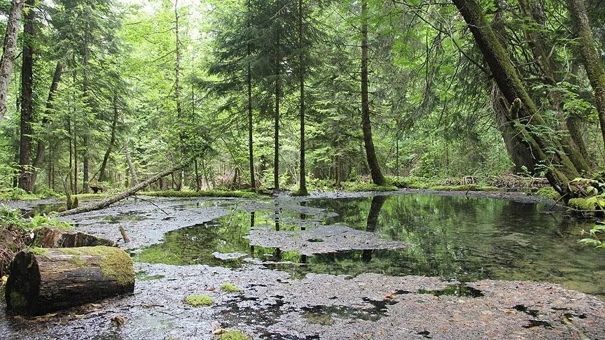 Kuzalan Şelalesi Tabiat Parkı