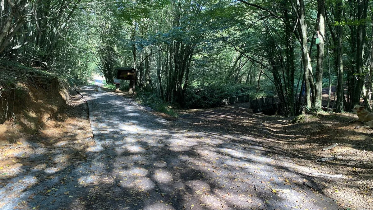 Polonezköy Tabiat Parkı Yürüyüş Parkuru