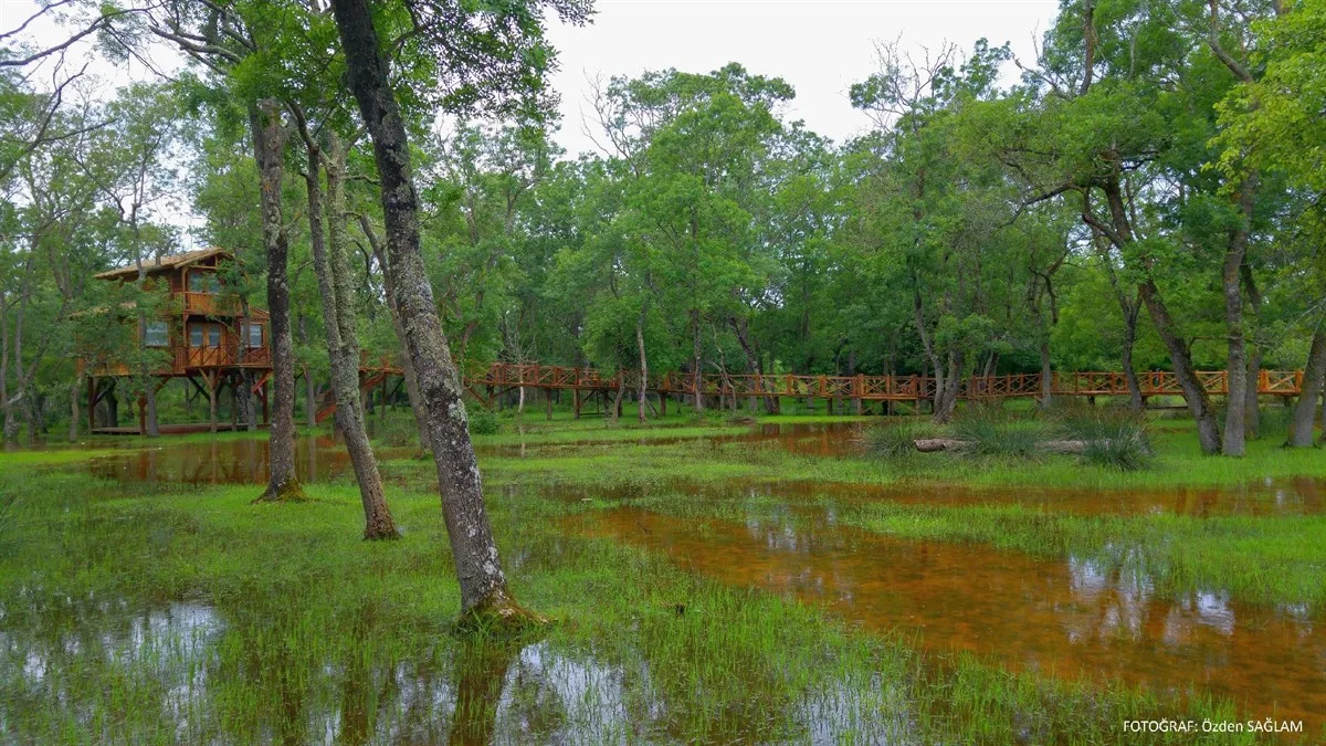 KIZILIRMAK DELTASI KUŞ CENNETİ